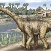 un nou tip de dinozaur descoperit in franta botezat dinozaurul tigan