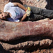 fosilele celui mai mare dinozaur descoperite de paleontologi in argentina
