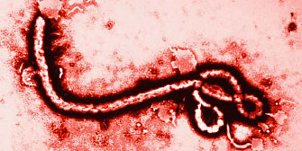 ebola se extinde cu repeziciune