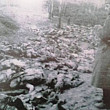80 de ani de la masacrul de la fantana alba 3000 de civili romani ucisi de sovietici video