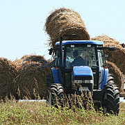 2013- cel mai bun an pentru agricultura