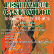concursul national de interpretare a muzicii folk festivalul castanilor