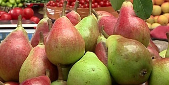 ce propune dublarea cantitatilor de fructe importate din republica moldova