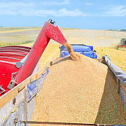 romania redevine granarul europei productia de cereale a crescut spectaculos in 2017