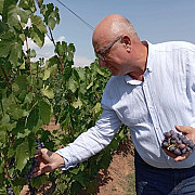 deputatul george ionescu forta dreptei alaturi de viticultorii prahoveni