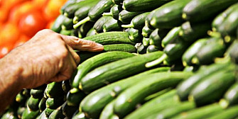 china incepe vanzarea directa de fructe si legume catre rusia