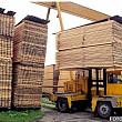exportul de busteni cherestea si lemn de foc suspendate pana la 31 august
