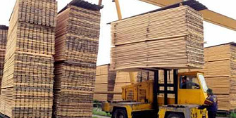 exportul de busteni cherestea si lemn de foc suspendate pana la 31 august