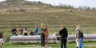 cornel dinicu amendat de primarie pentru plantarea de copaci in memoria victimelor incendiului din 26 decembrie