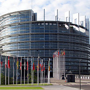 plan de actiune a parlamentului european pentru combaterea crimei organizate