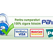 profesionistii platilor online din romania - payu