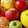rusia interzice temporar importul fructelor moldovenesti