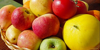 rusia interzice temporar importul fructelor moldovenesti