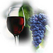 vinul rosu impiedica aparitia surzeniei