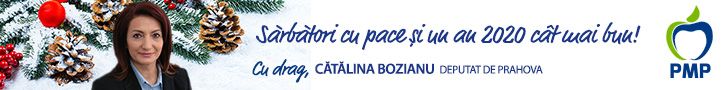 CABINET PARLAMENTAR DEPUTAT BOZIANU NICOLETA CATALINA