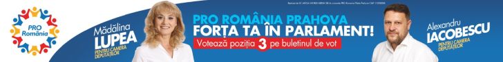 Pro Romania- Forta ta in Parlament
