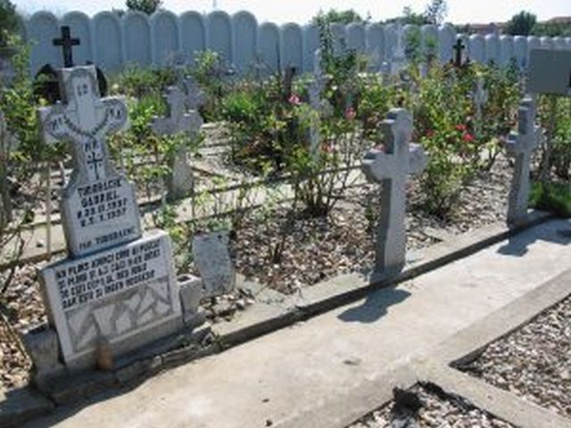 cimitirul-fantoma de la marginea bucurestiului 5000 de copii bagati in gropi comune in pipera