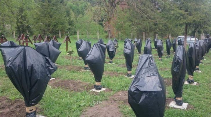 scandalul de la valea uzului continua prefectul de harghita ataca in instanta decizia primariei sanmartin de a interzice accesul in cimitirul eroilor
