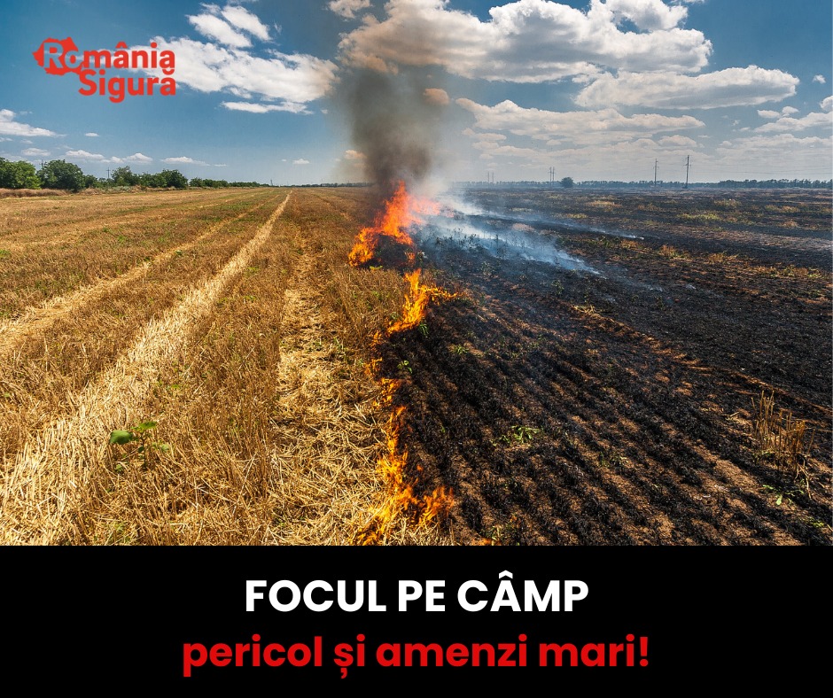 arderea vegetatiei uscate este interzisa si se pedepseste cu amenda de pana la 15000 lei