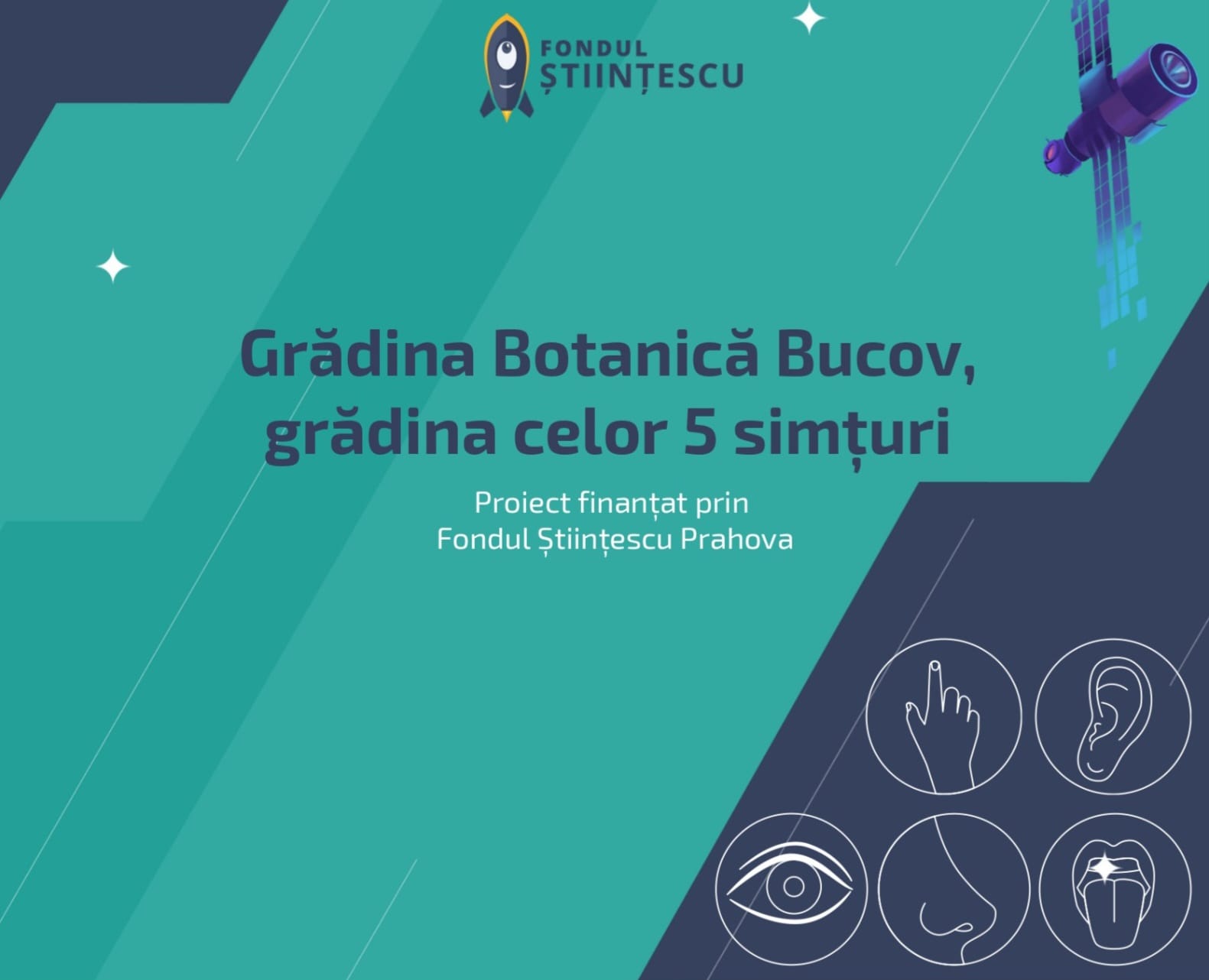 magia naturii prin ochii copiilor la bucov se deschide gradina celor 5 simturi