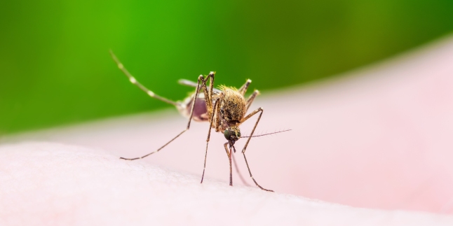 mister medical in romania caz de malarie fara calatorii in zone tropicale autoritatile in alerta
