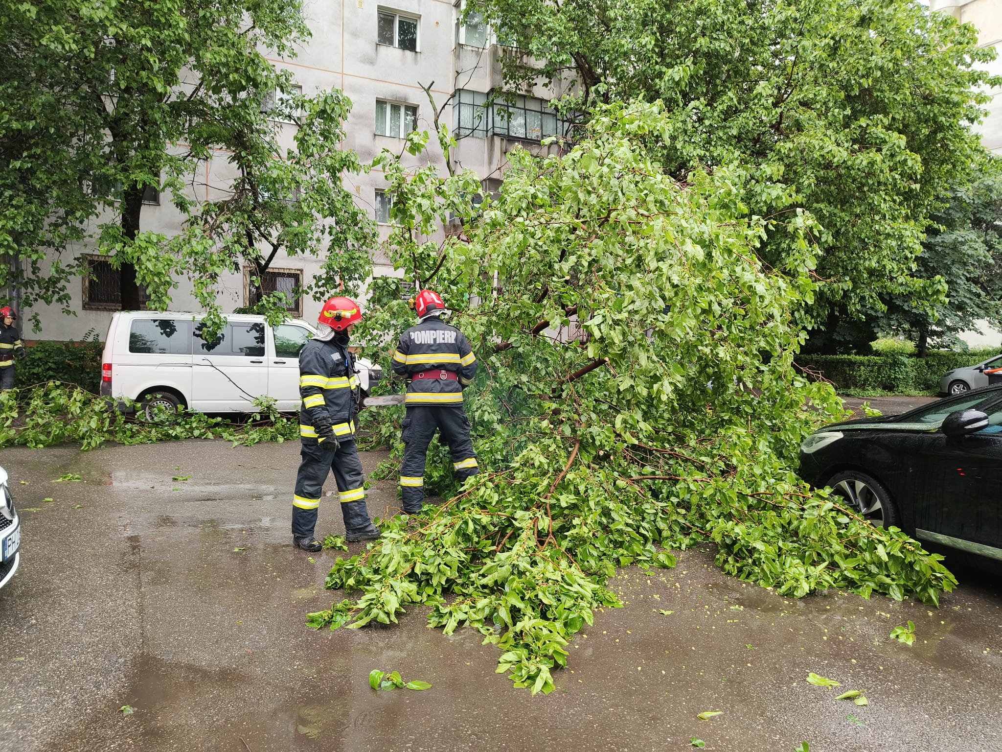 interventii nocturne ale pompierilor copaci cazuti pe carosabil in prahova