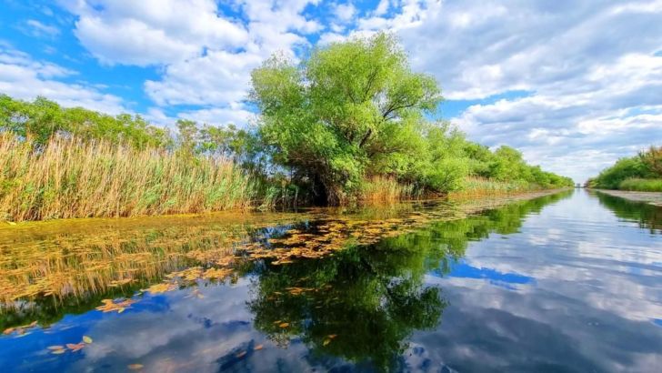 Tânăr palestinian, împuşcat mortal în Cisiordania de militari israelieni