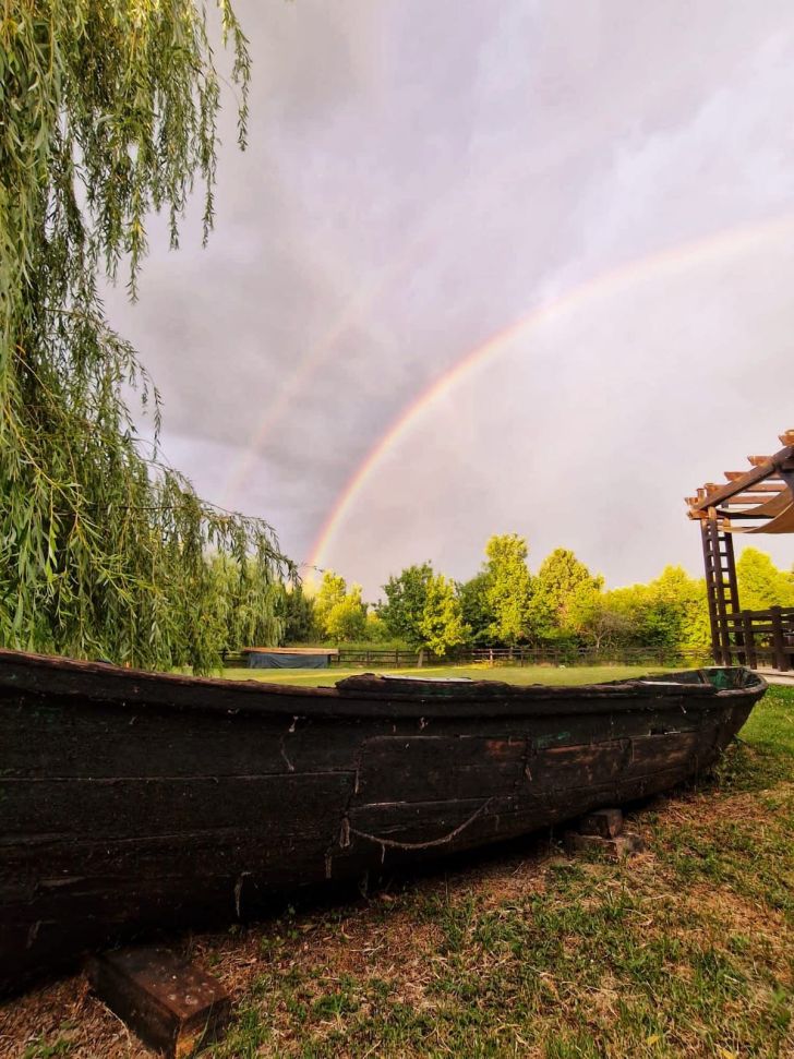 Întâlnire istorică, între Obama şi Castro