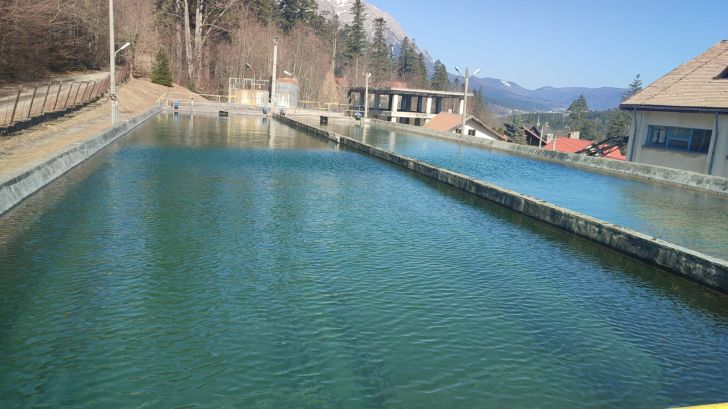 Andreea Mitu a învins-o pe Eugenie Bouchard