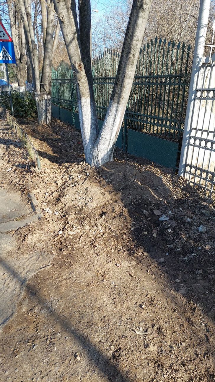 Cum lăsăm legal bacșiș băiatului cu pizza