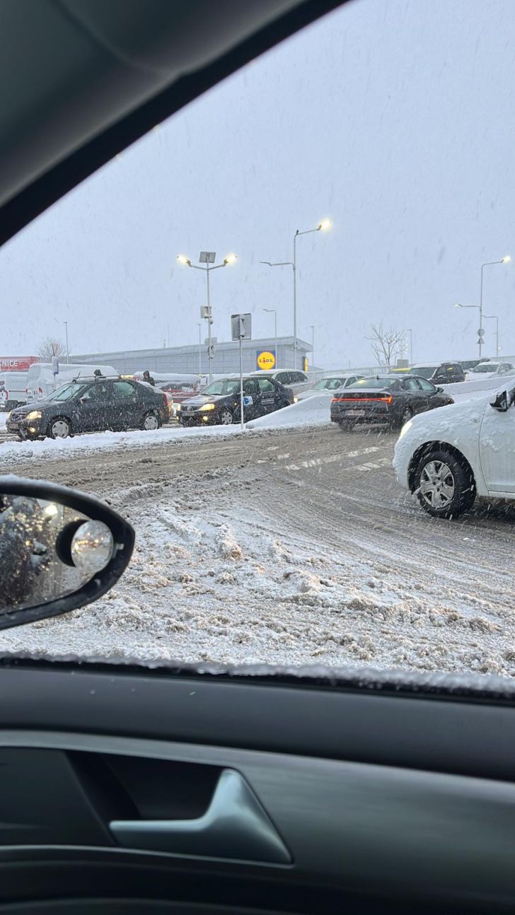 Cele mai lungi cuvinte din limba română