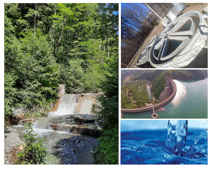 Percheziţii la firma de pază a ginerelui lui Vasile Blaga, într-un dosar de evaziune de 600.000 euro