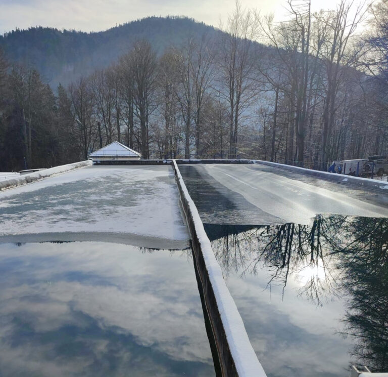 O elevă construiește Piramida Cărților la Brașov