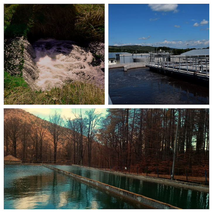 Angajaţii vor putea primi vouchere de vacanţă