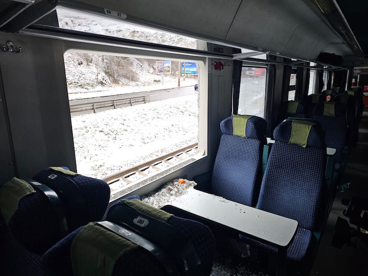 Două celebre rase de câini, recunoscute internaţional