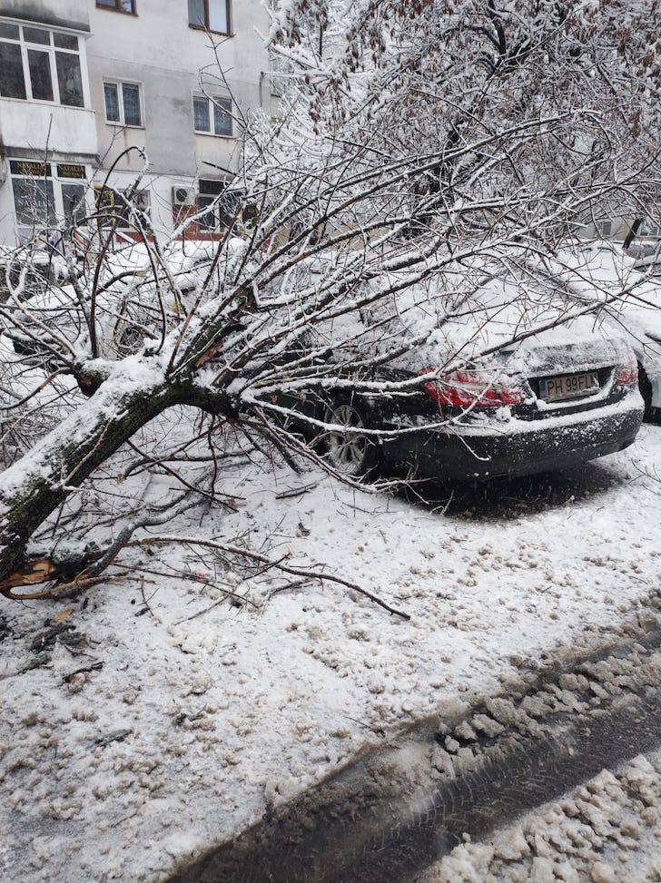 Naiul lui Nicolae Voiculeţ va cânta pe 24 iunie la Sfinxul României