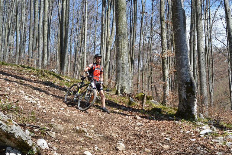 Un Strop de Fericire…