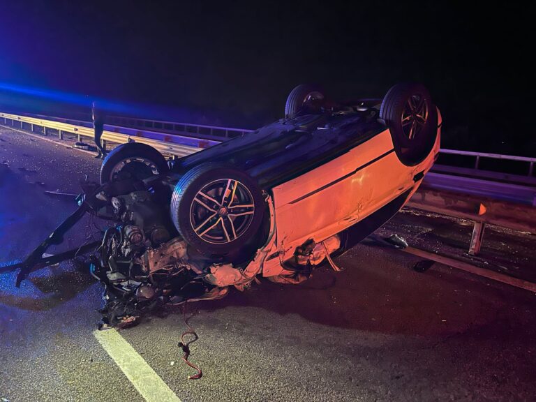 O bovină ajunsă pe carosabil a provocat dezastru pe A3  azi noapte