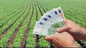 Termen final pentru depunerea cererilor de granturi pentru agricultori