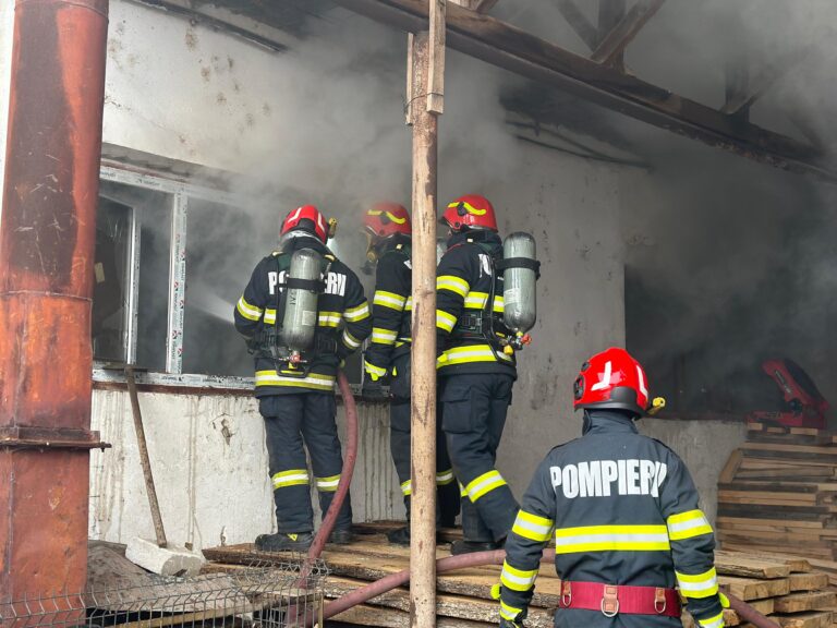 Incendiu la o fabrică de lemn din Bucov