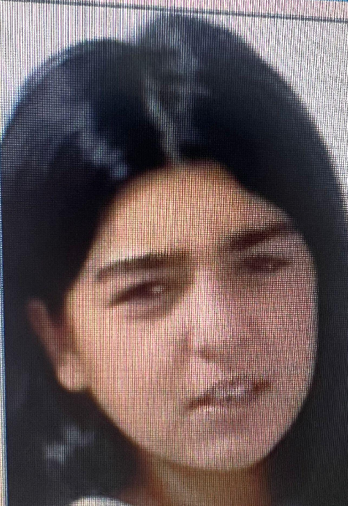 LE-AȚI VĂZUT?