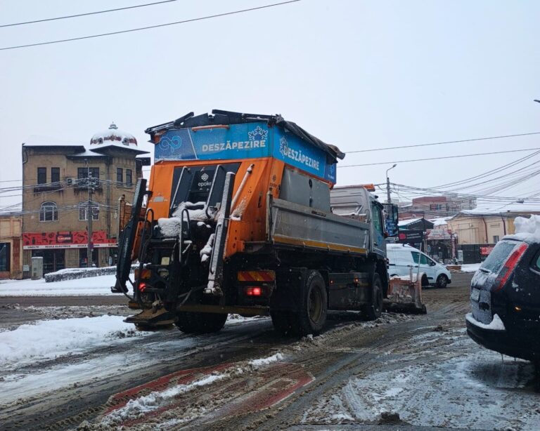 Atenționare meteo cod galben. Ninsori și viscol în Prahova și regiuni înconjurătoare