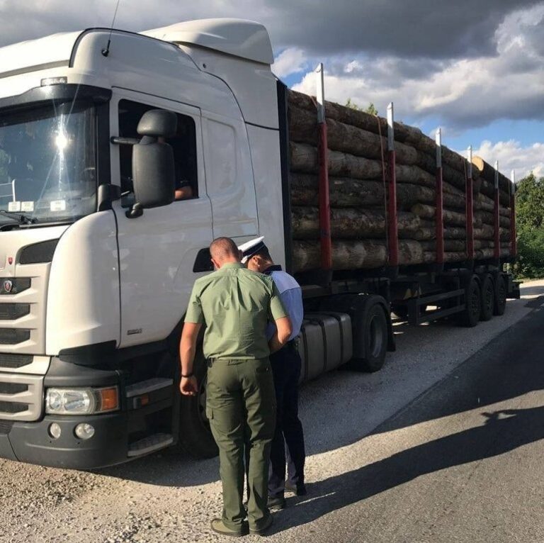 Acțiuni de succes în Prahova. 125 mc de lemn confiscat