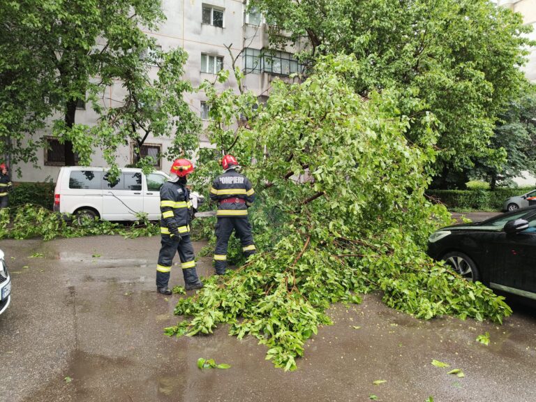 Intervenții nocturne ale pompierilor. Copaci căzuți pe carosabil în Prahova