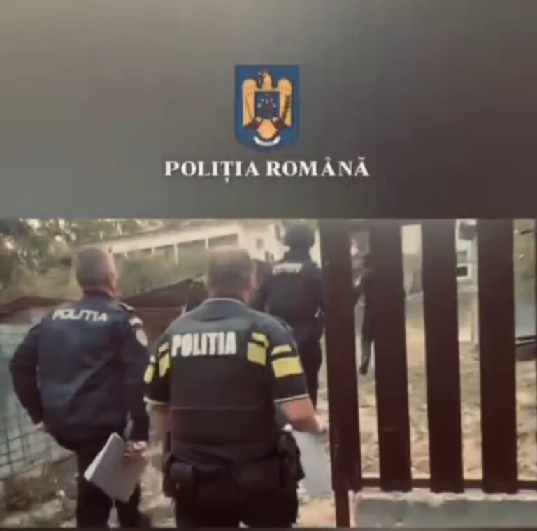 Mascații au intervenit în Șoimari după un scandal cu violență și furt într-un magazin