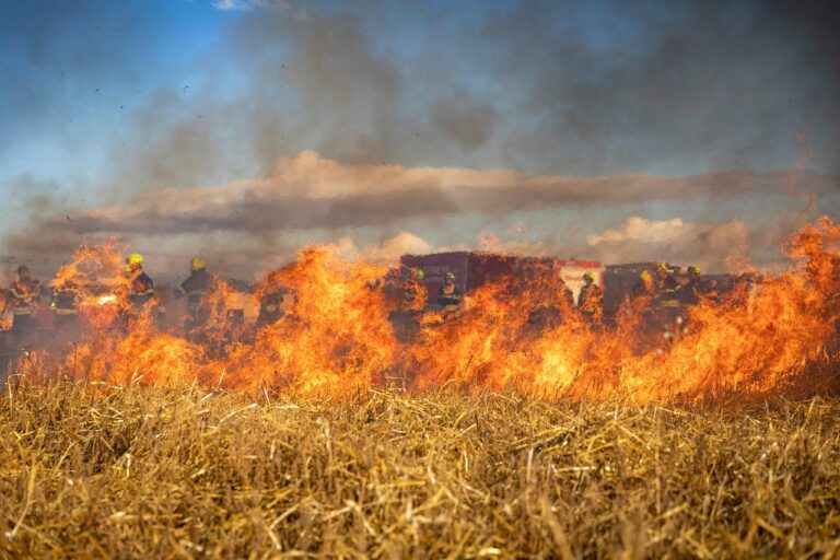 Arderea miriștilor și a vegetației uscate, pericol major și amenzi de până la 100.000 de lei