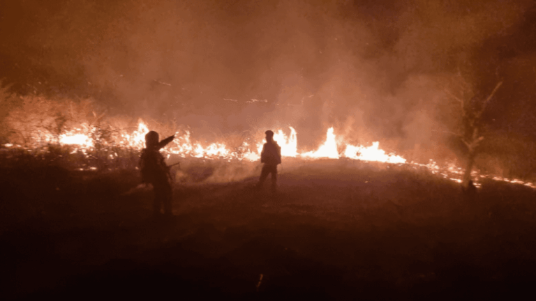 Incendii de vegetație uscată în totiul nopții, în Prahova!
