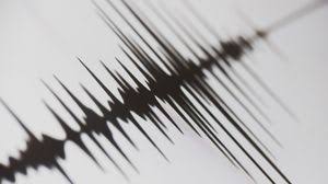 Cutremur în zona seismică Vrancea, resimţit parţial şi la Ploieşti
