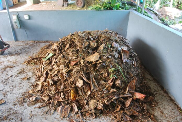 Avertisment! Amenzi uriaşe pentru cei care ard deşeurile vegetale