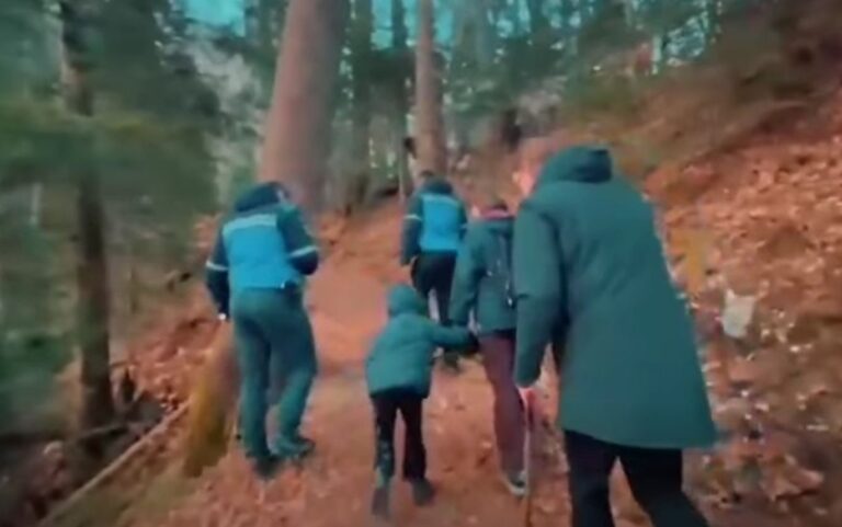 Trei turişti străini salvaţi de jandarmi după o întâlnire cu o ursoaică, la Sinala